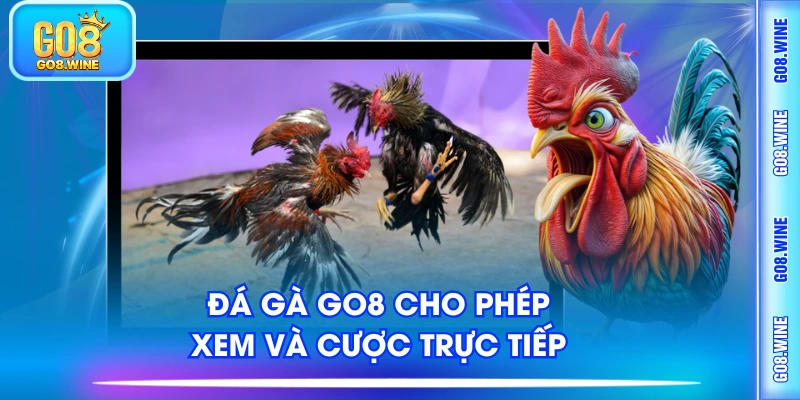 Đá gà Go8 cho phép xem và cược trực tiếp