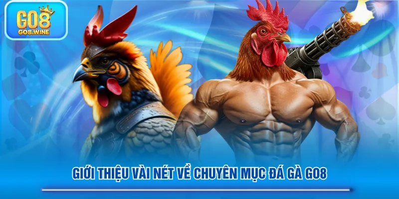 Giới thiệu vài nét về chuyên mục Đá Gà GO8