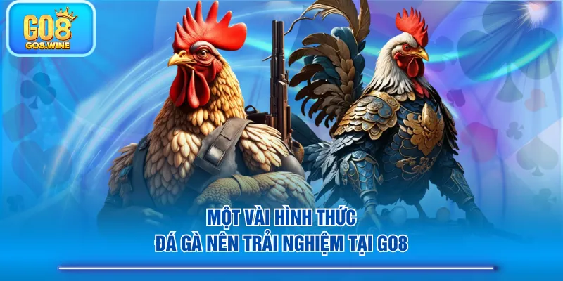 Một vài hình thức đá gà nên trải nghiệm tại GO8