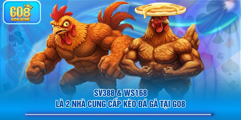SV388 & WS168 là 2 nhà cung cấp kèo đá gà tại GO8