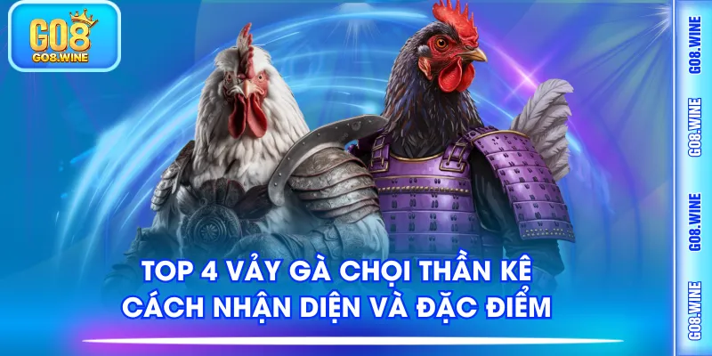 vảy gà chọi thần kê